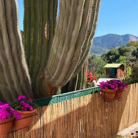 Апартаменты Casa Il Cactus - Argonautivacanze *